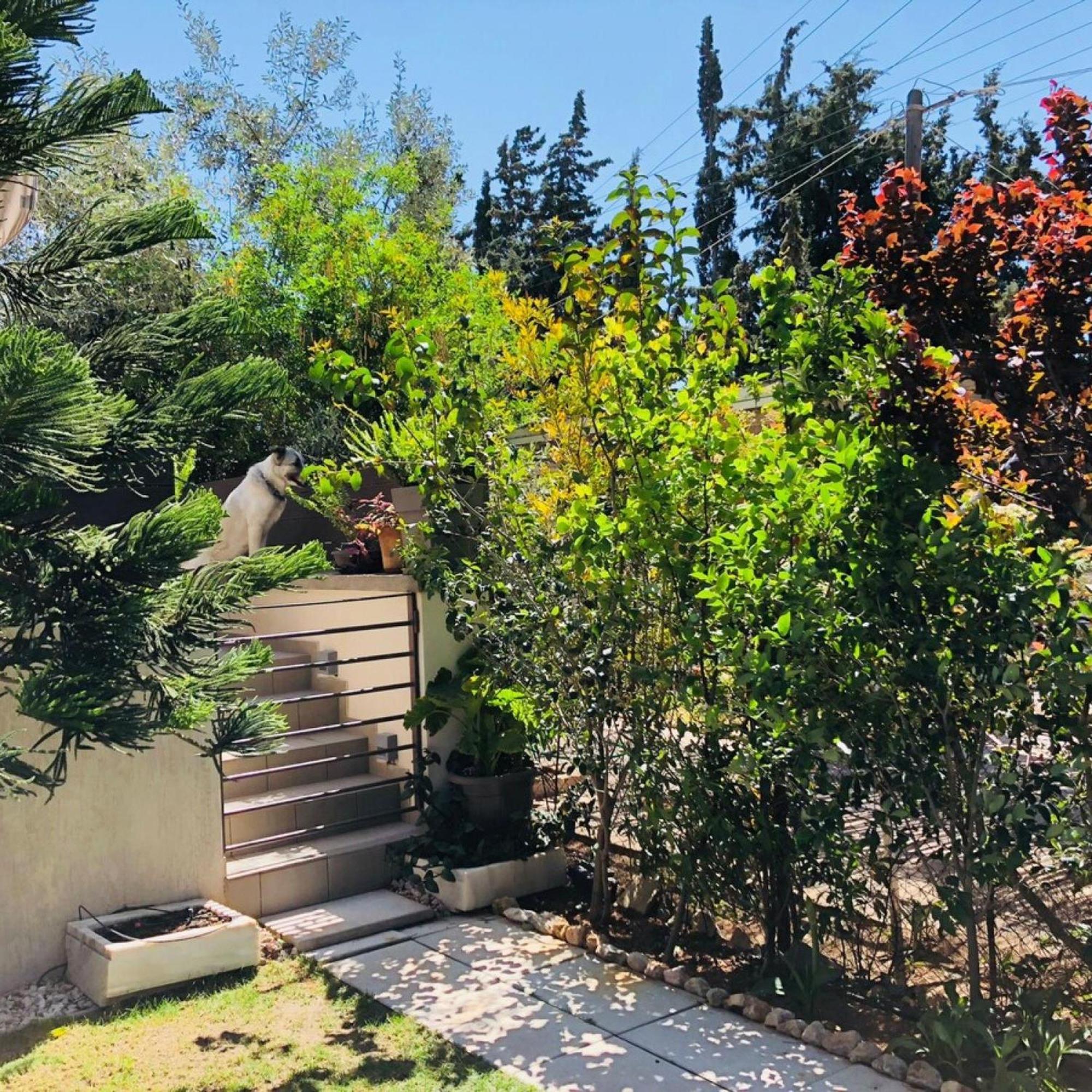 Azure Villa Lagoníszi Kültér fotó